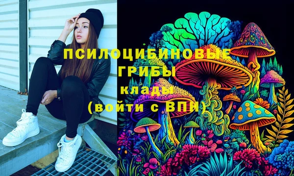 ПСИЛОЦИБИНОВЫЕ ГРИБЫ Арсеньев